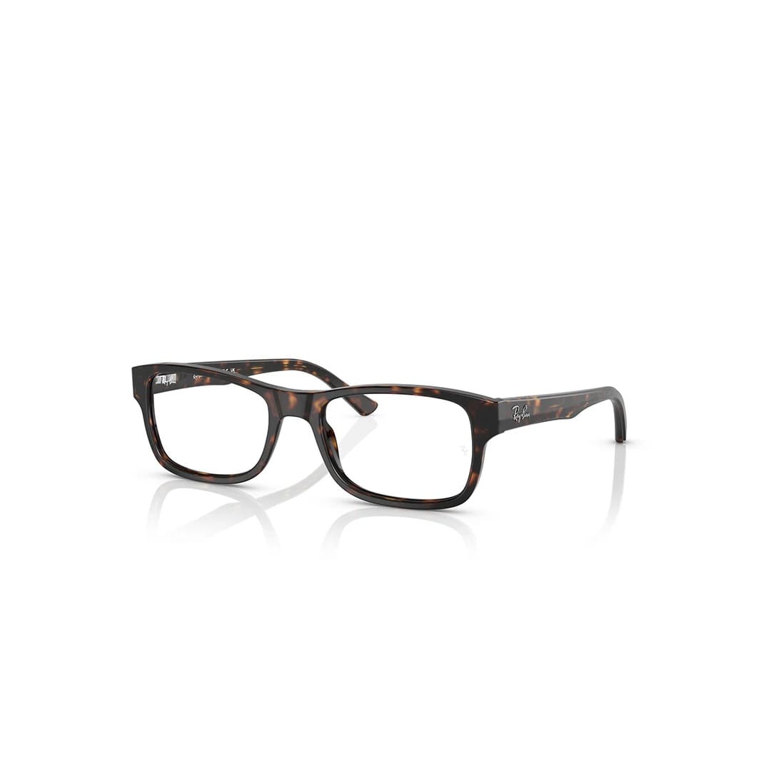 Ray-Ban 5268 BROWN